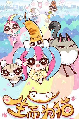 当地的seo哪家好些啊